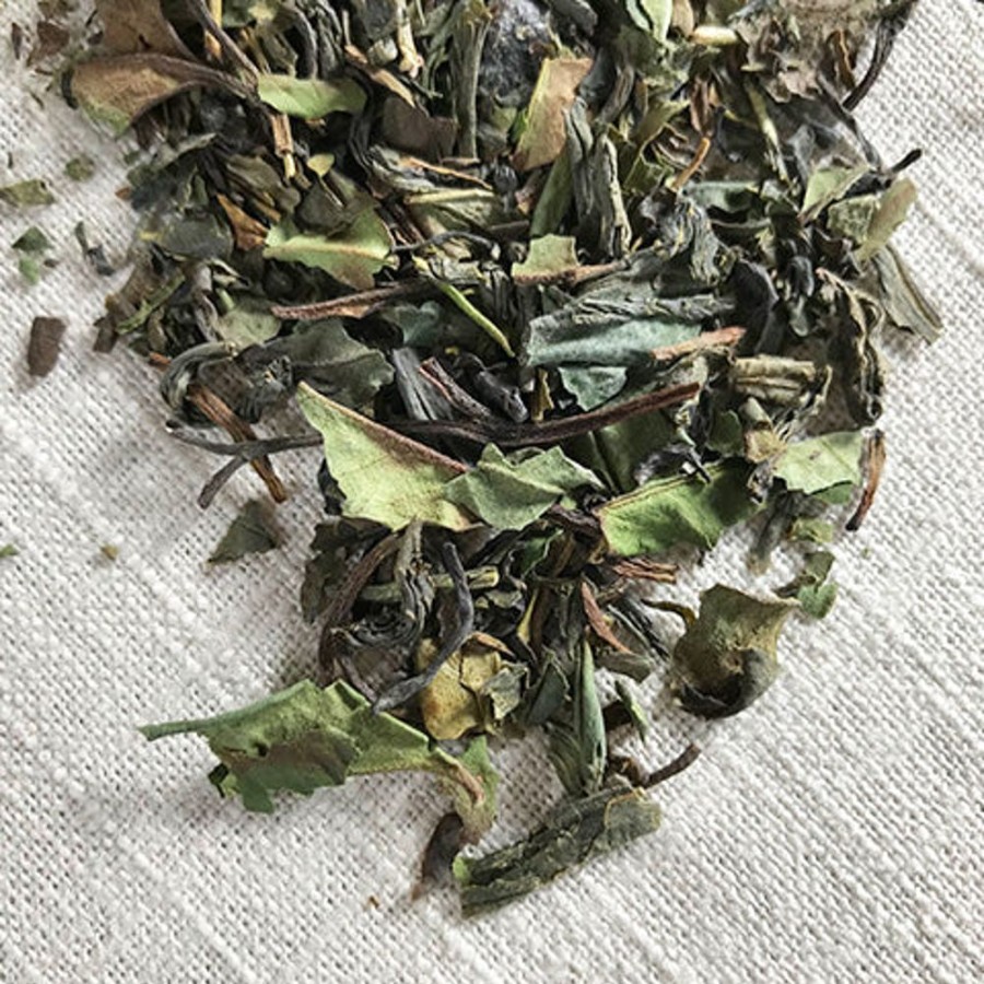 Tea Stash Tea Green | Fusion Green And White Tea