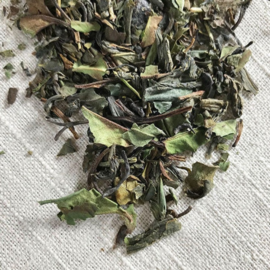 Tea Stash Tea | Fusion Green And White Tea