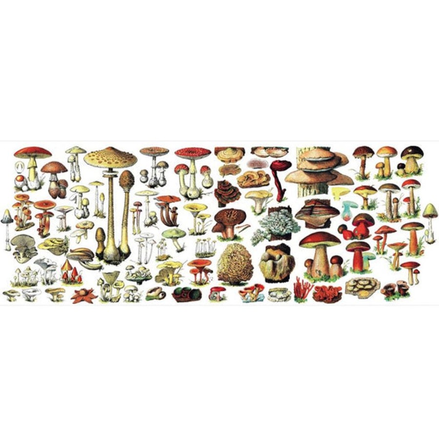 Teaware Stash Tea | Vintage Images Mushrooms Mug