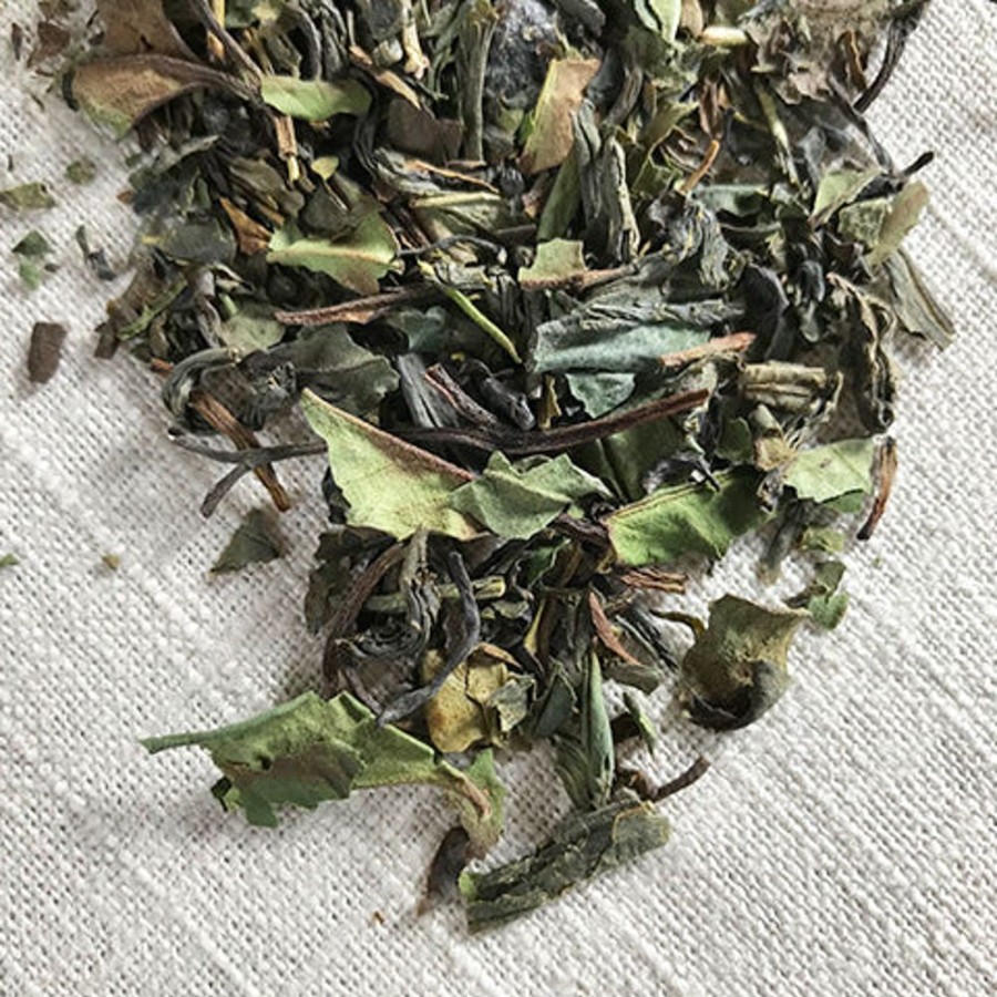 Tea Stash Tea Unflavored | Fusion Green And White Tea